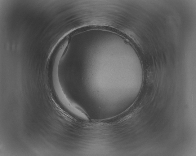 X0000073980926200609111804