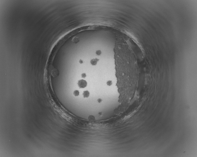 X0000073980928200609111804