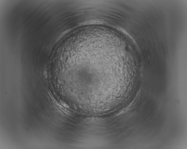 X0000073980929200609111804