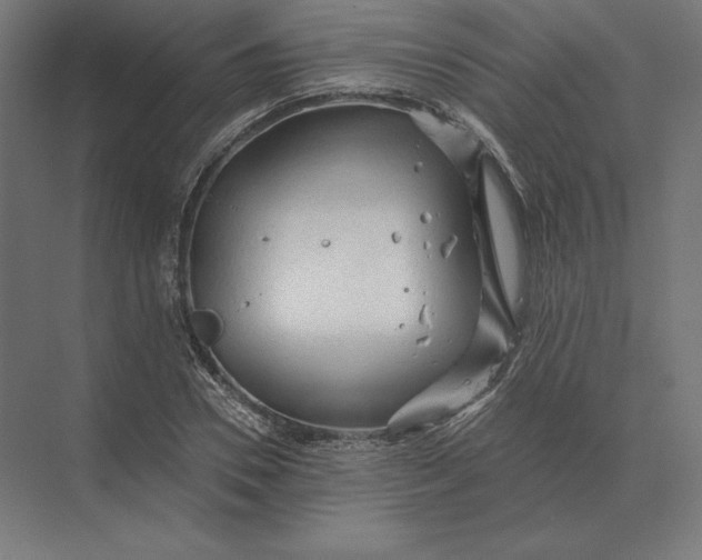 X0000073980930200609111804