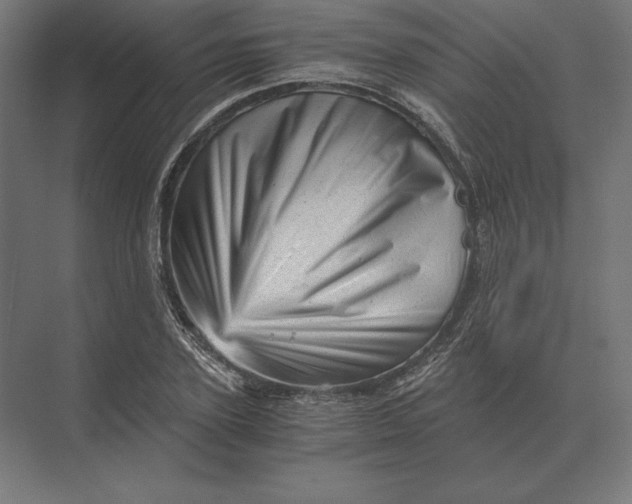 X0000073980931200609111804