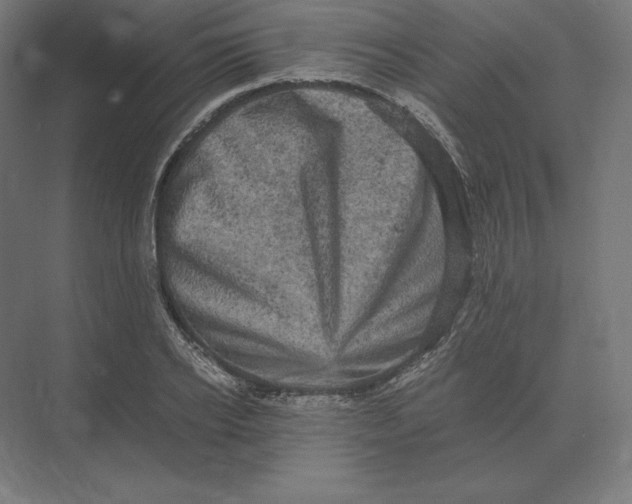 X0000073980934200609111804