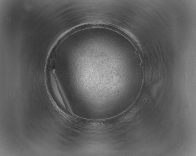 X0000073980935200609111804