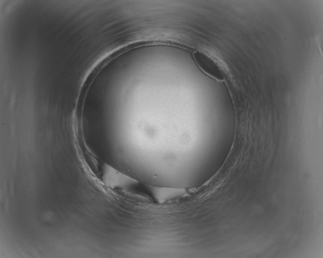 X0000073980936200609111804