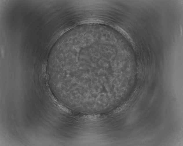 X0000073980937200609111804