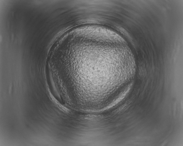 X0000073980938200609111804