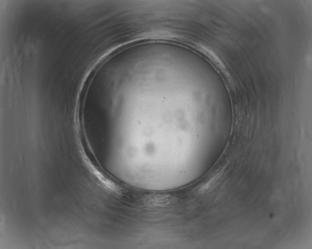 X0000073980939200609111804