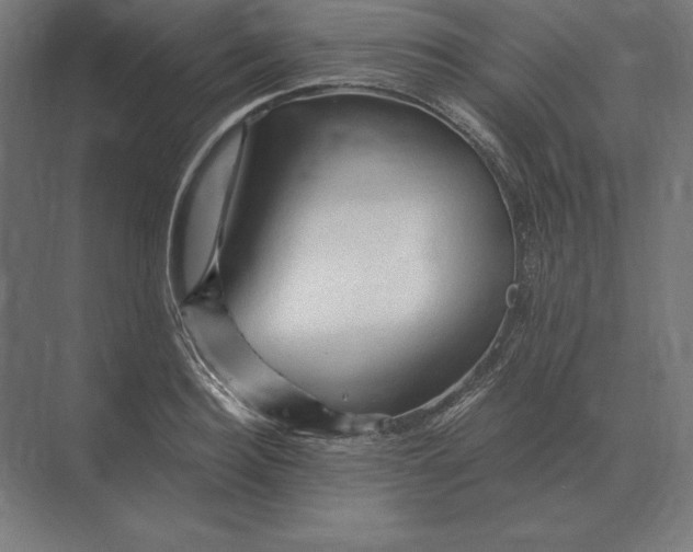 X0000073980940200609111804