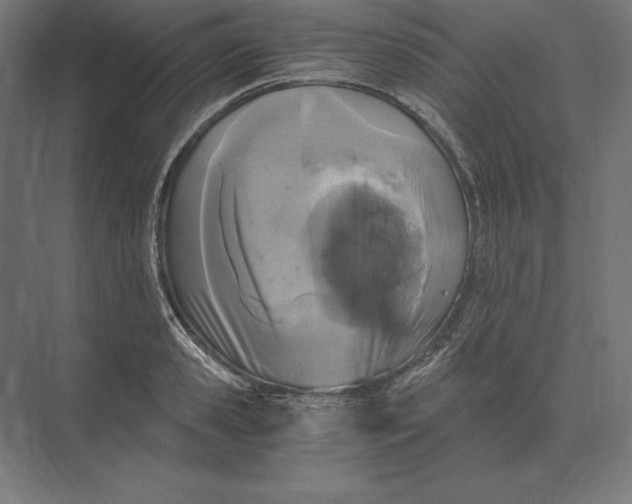 X0000073980941200609111804