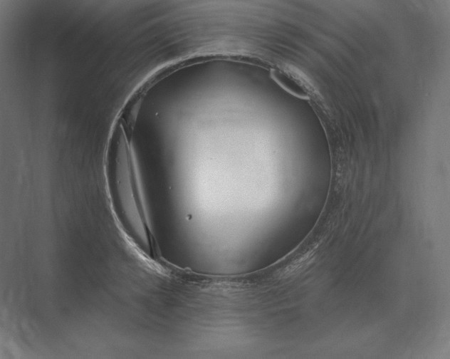 X0000073980942200609111804