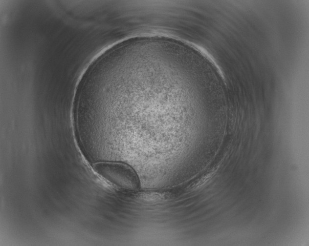 X0000073980943200609111804