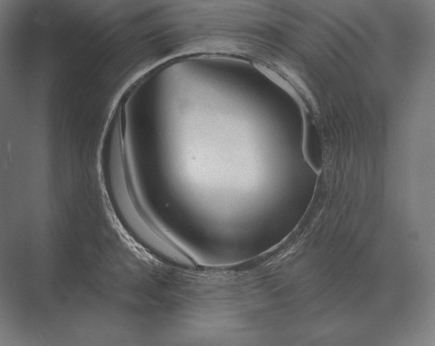 X0000073980944200609111804