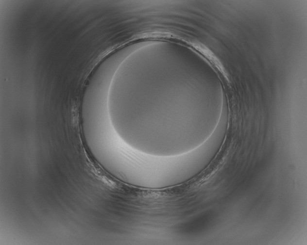 X0000073980945200609111804