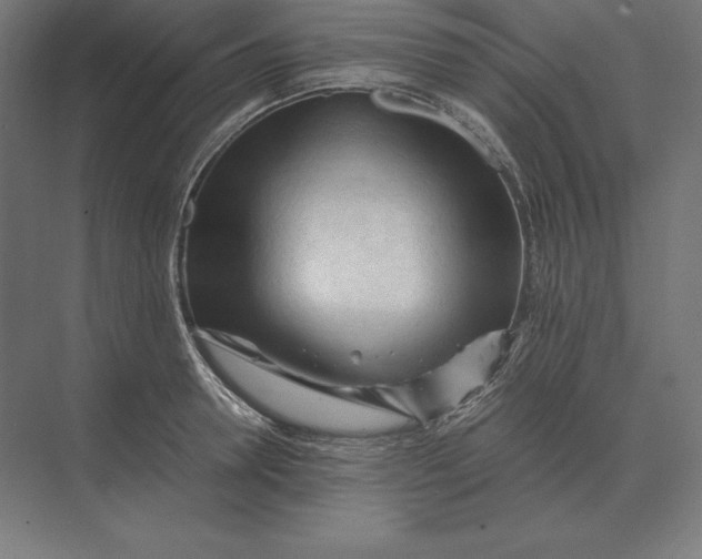 X0000073980946200609111804