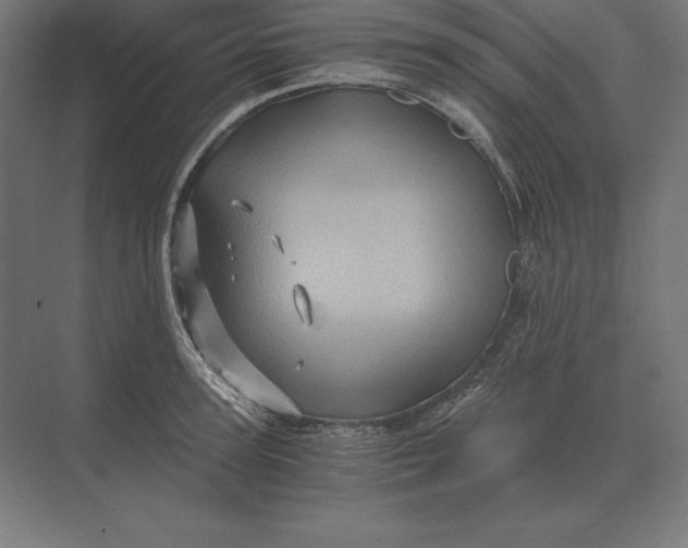 X0000073980947200609111804