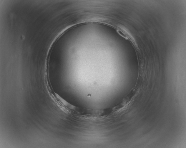 X0000073980948200609111804