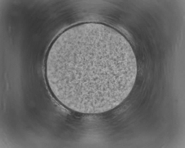 X0000073980950200609111804