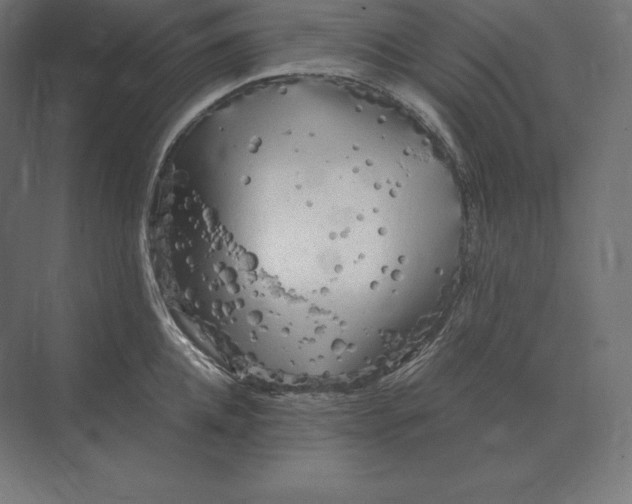 X0000073980952200609111804