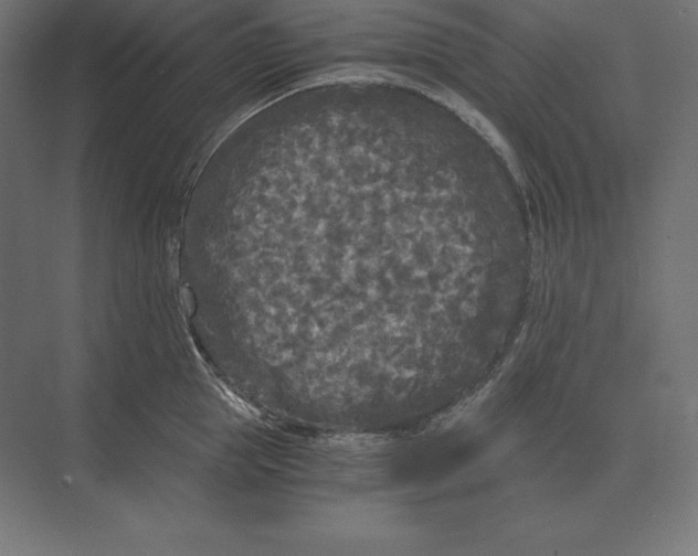 X0000073980953200609111804