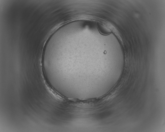 X0000073980954200609111804