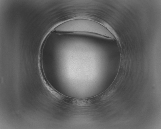 X0000073980955200609111804