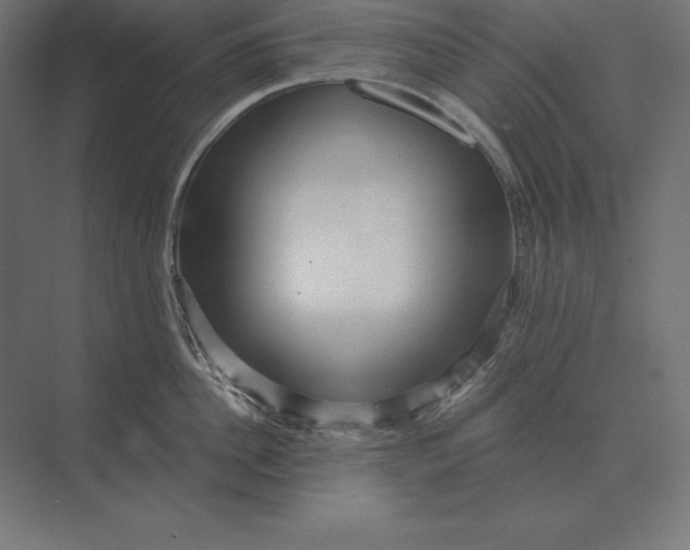 X0000073980956200609111804