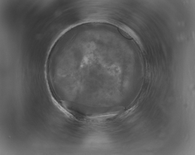 X0000073980958200609111804