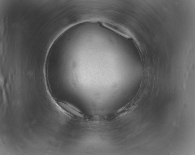 X0000073980959200609111804