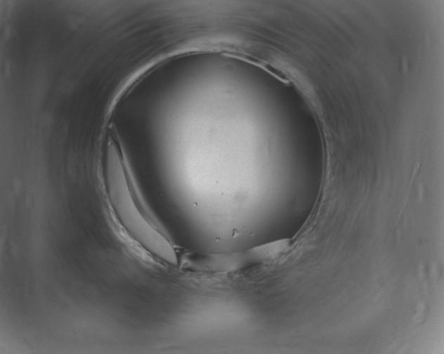 X0000073980960200609111804