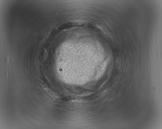 X0000073980961200609111804