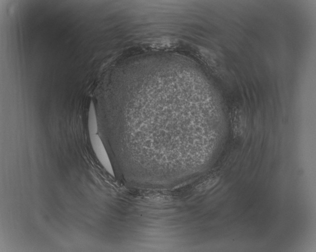 X0000073980962200609111804