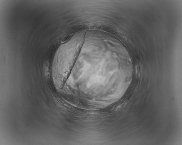 X0000073980963200609111804