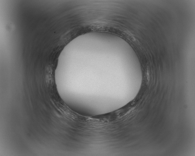 X0000073980964200609111804