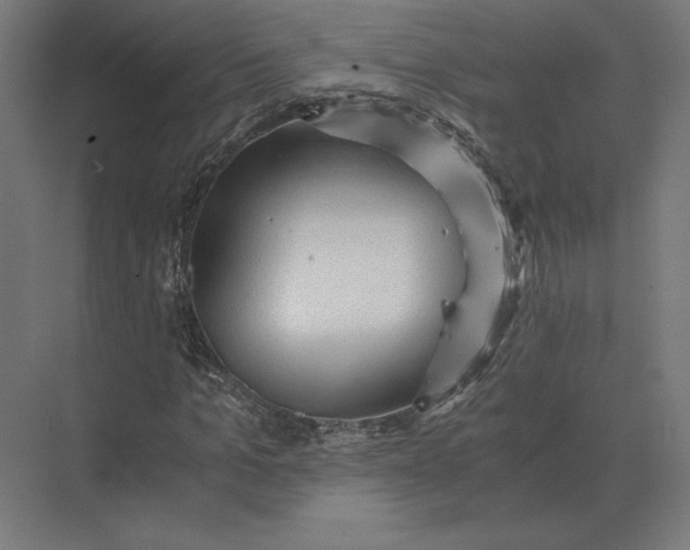 X0000073980965200609111803