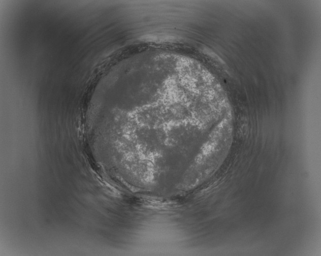 X0000073980966200609111803