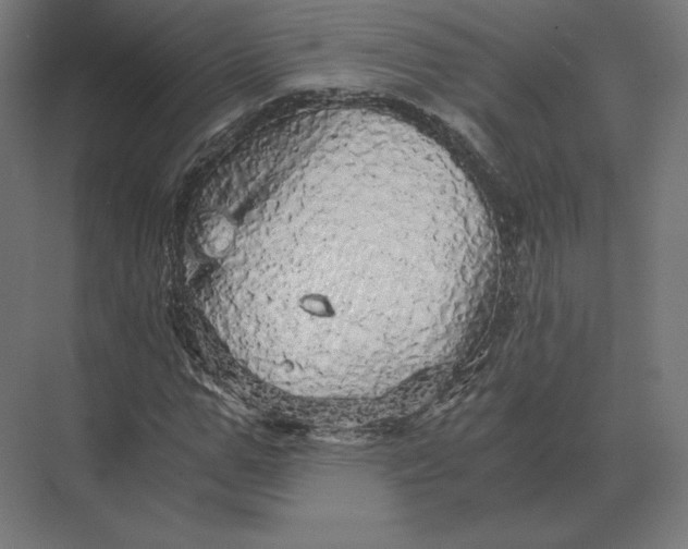 X0000073980967200609111803