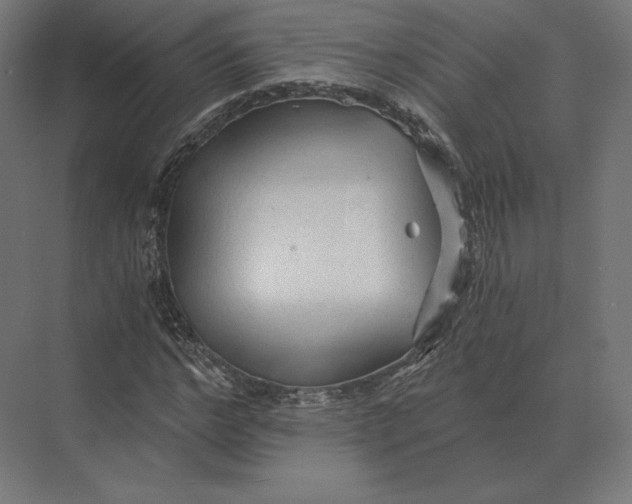 X0000073980968200609111803