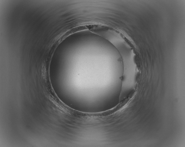 X0000073980969200609111803