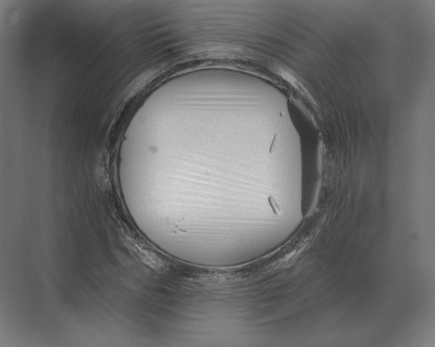 X0000073980970200609111803