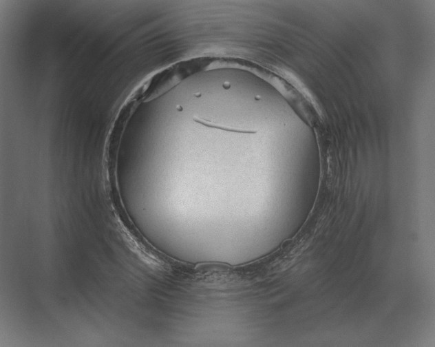 X0000073980972200609111803