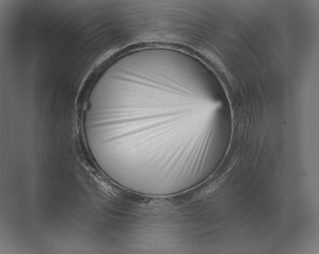 X0000073980974200609111803