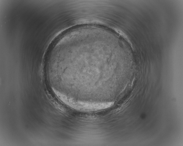 X0000073980975200609111803