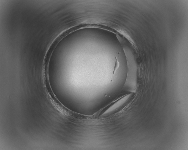 X0000073980976200609111803