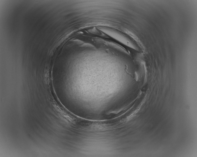 X0000073980977200609111803