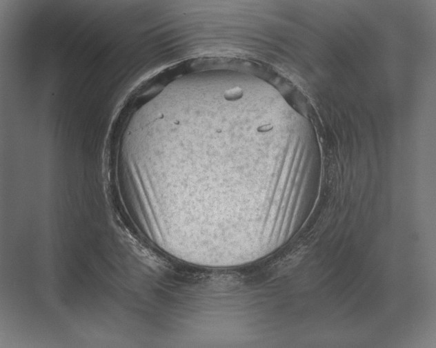 X0000073980979200609111803