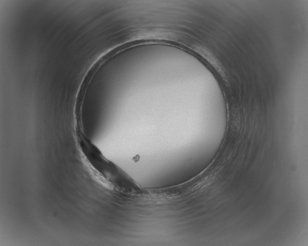 X0000073980980200609111803