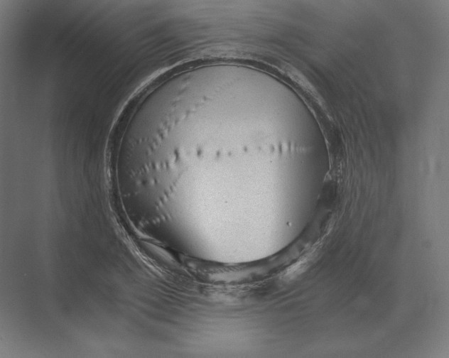 X0000073980981200609111803