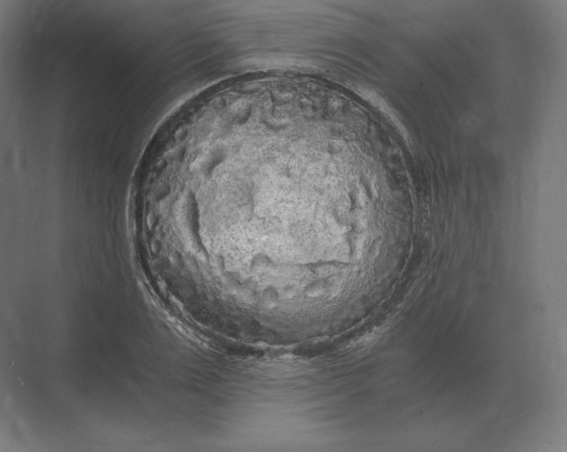 X0000073980983200609111803