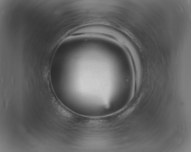 X0000073980985200609111803