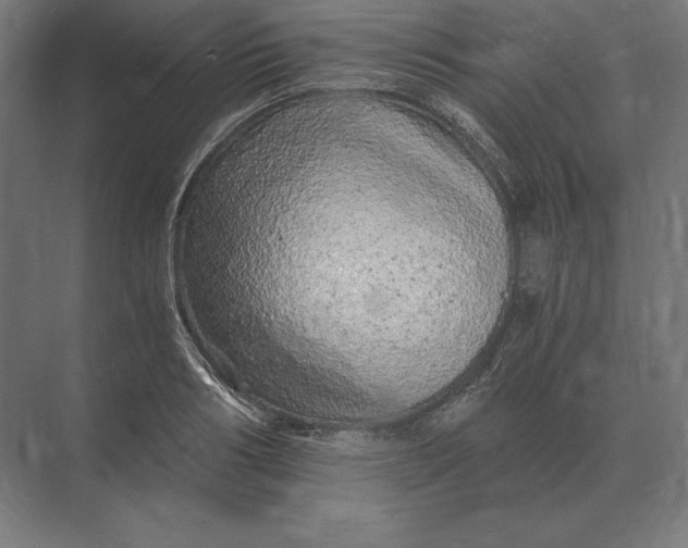 X0000073980986200609111803